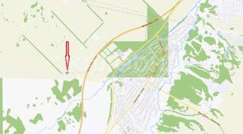 Дружная (ДНП Сибирские просторы), Бизнес