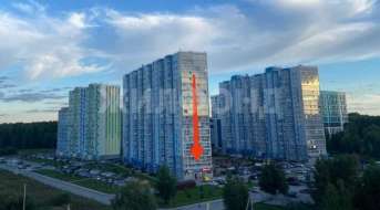 Александра Чистякова, Торговые