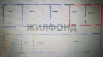 Петухова, Офис