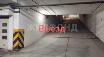 Державина, Бизнес